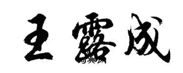 胡问遂王露成行书个性签名怎么写