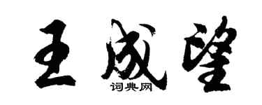 胡问遂王成望行书个性签名怎么写