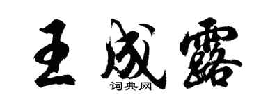 胡问遂王成露行书个性签名怎么写
