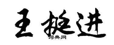 胡问遂王挺进行书个性签名怎么写