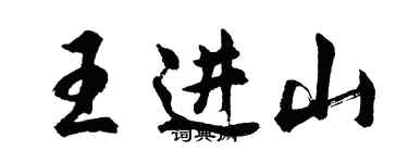 胡问遂王进山行书个性签名怎么写