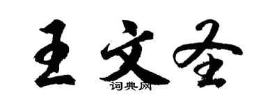 胡问遂王文圣行书个性签名怎么写