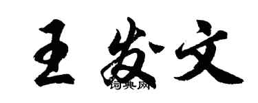 胡问遂王发文行书个性签名怎么写