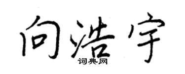 王正良向浩宇行书个性签名怎么写