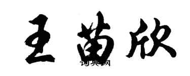 胡问遂王苗欣行书个性签名怎么写