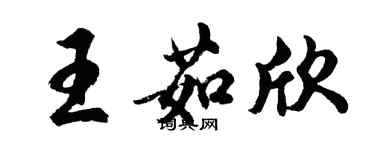 胡问遂王茹欣行书个性签名怎么写