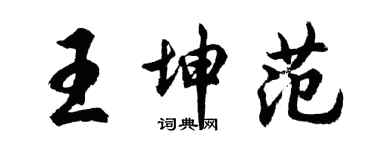 胡问遂王坤范行书个性签名怎么写