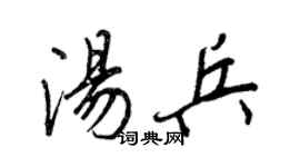 王正良汤兵行书个性签名怎么写