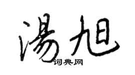 王正良汤旭行书个性签名怎么写