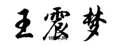 胡问遂王震梦行书个性签名怎么写