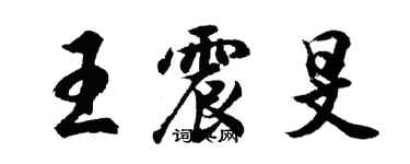 胡问遂王震旻行书个性签名怎么写