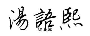 王正良汤语熙行书个性签名怎么写