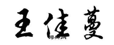 胡问遂王佳蔓行书个性签名怎么写