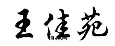 胡问遂王佳苑行书个性签名怎么写