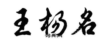 胡问遂王杨名行书个性签名怎么写