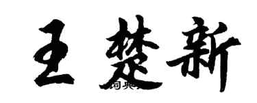 胡问遂王楚新行书个性签名怎么写