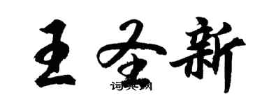 胡问遂王圣新行书个性签名怎么写