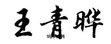 胡问遂王青晔行书个性签名怎么写