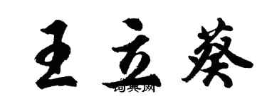 胡问遂王立葵行书个性签名怎么写
