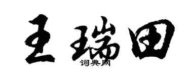 胡问遂王瑞田行书个性签名怎么写
