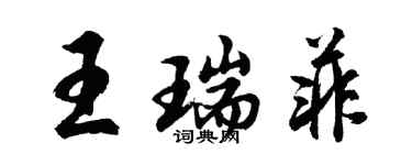 胡问遂王瑞菲行书个性签名怎么写