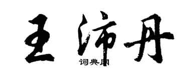 胡问遂王沛丹行书个性签名怎么写