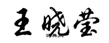 胡问遂王晓莹行书个性签名怎么写