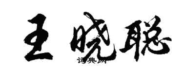 胡问遂王晓聪行书个性签名怎么写