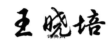 胡问遂王晓培行书个性签名怎么写