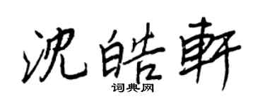 王正良沈皓轩行书个性签名怎么写