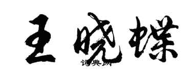 胡问遂王晓蝶行书个性签名怎么写