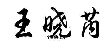 胡问遂王晓芮行书个性签名怎么写