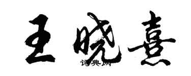胡问遂王晓熹行书个性签名怎么写