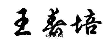 胡问遂王春培行书个性签名怎么写