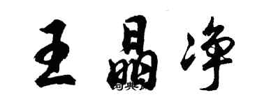 胡问遂王晶净行书个性签名怎么写