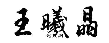 胡问遂王曦晶行书个性签名怎么写