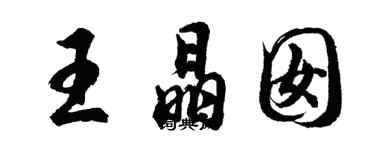 胡问遂王晶囡行书个性签名怎么写