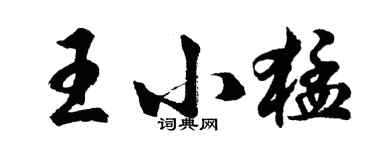胡问遂王小猛行书个性签名怎么写