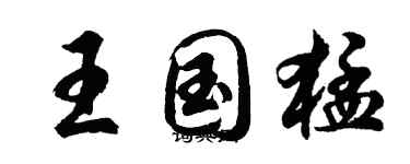 胡问遂王国猛行书个性签名怎么写