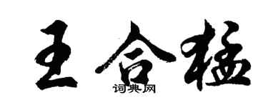 胡问遂王合猛行书个性签名怎么写