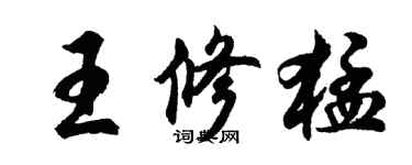 胡问遂王修猛行书个性签名怎么写