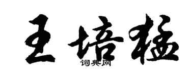 胡问遂王培猛行书个性签名怎么写