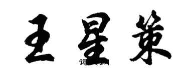 胡问遂王星策行书个性签名怎么写