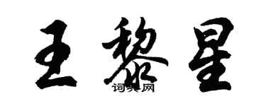 胡问遂王黎星行书个性签名怎么写