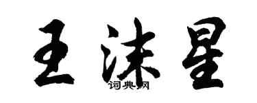 胡问遂王沫星行书个性签名怎么写