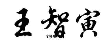 胡问遂王智寅行书个性签名怎么写