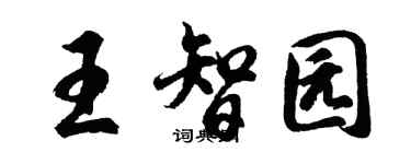 胡问遂王智园行书个性签名怎么写