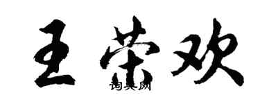 胡问遂王荣欢行书个性签名怎么写
