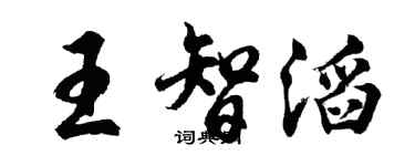 胡问遂王智滔行书个性签名怎么写