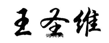胡问遂王圣维行书个性签名怎么写